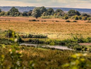 Paysage de la Réserve Naturelle de l'Estuaire de la Seine