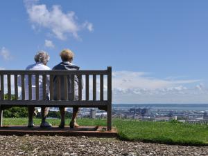 Vue des Jardins suspendus sur la ville basse