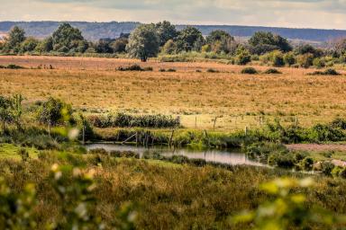 Paysage de la Réserve Naturelle de l'Estuaire de la Seine