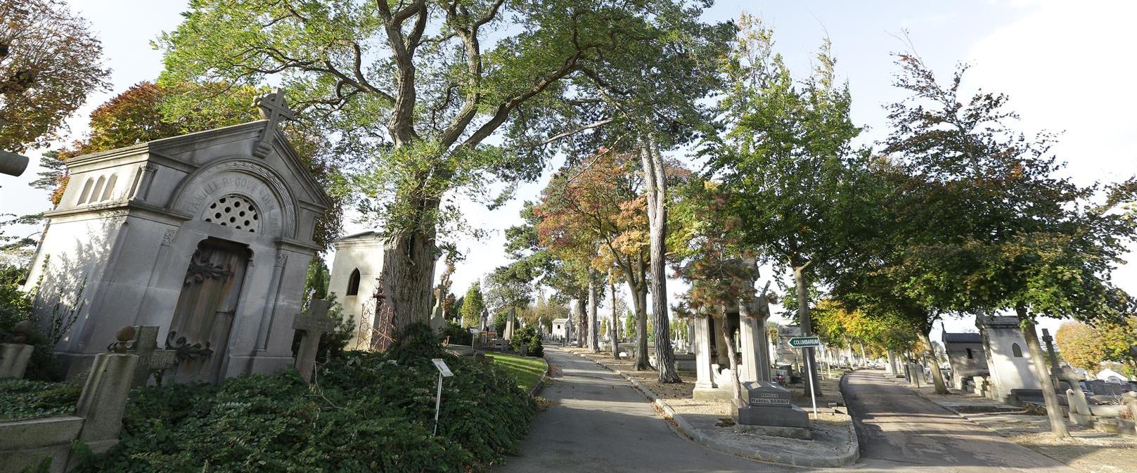 cimetiere-ste-marie