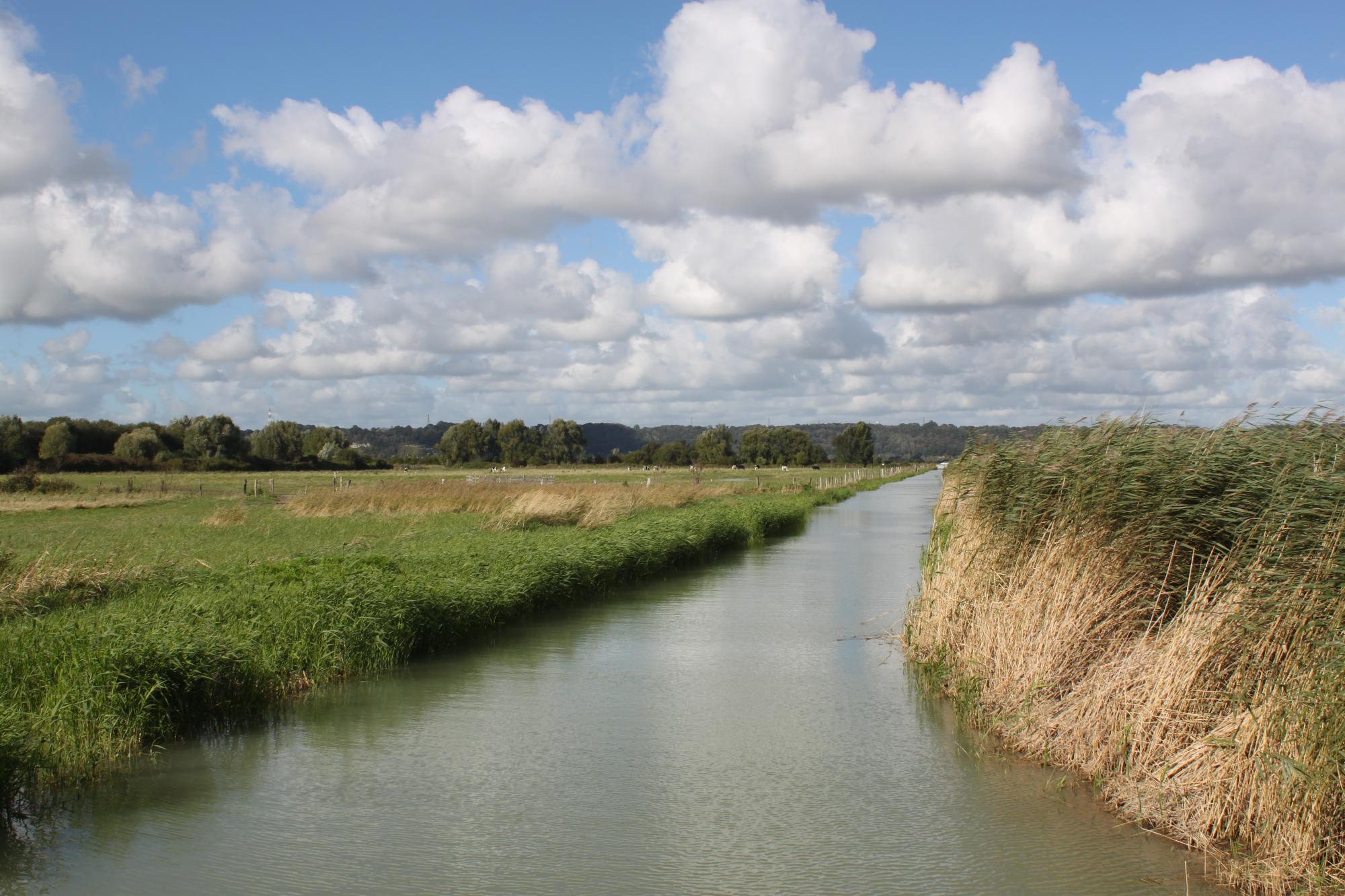 Marais du Hode